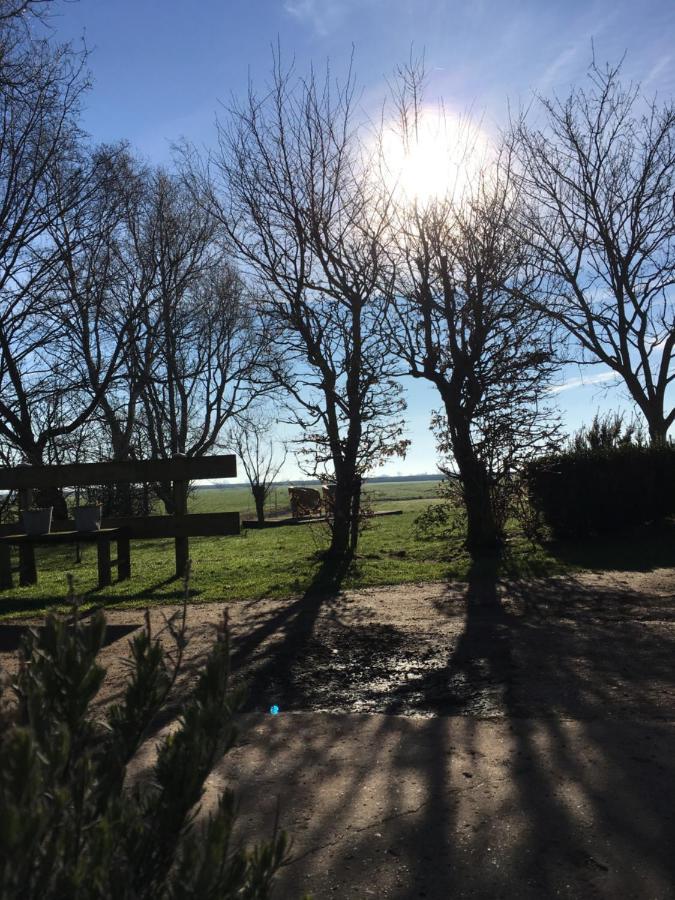 B&B Boerderij De Tempel Greonterp Екстер'єр фото